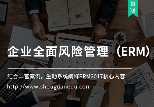 企业全面风险管理(ERM)