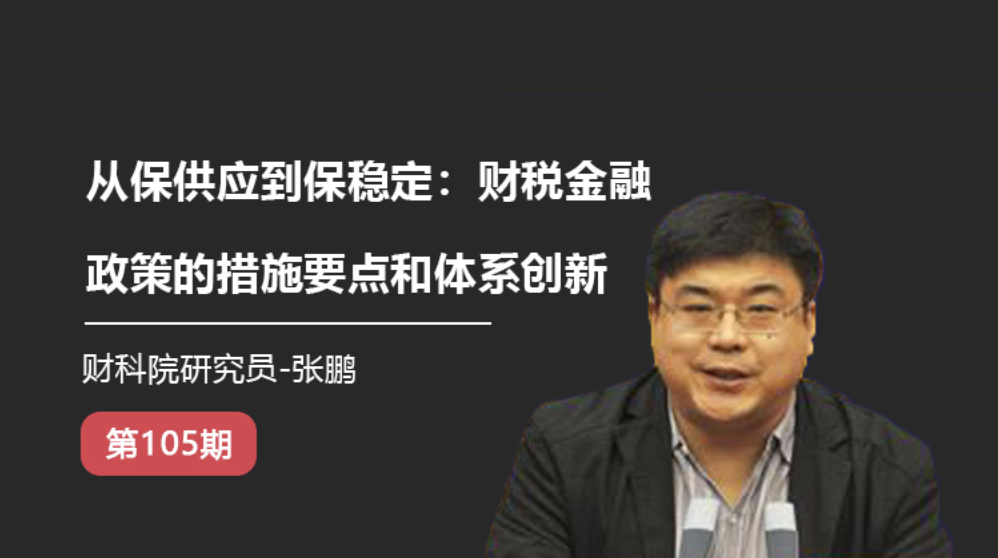 从保供应到保稳定：财税金融政策的措施要点和体系创新